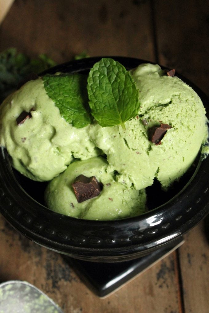 Close up of ice cream with a sprig of mint and chocolate chips.