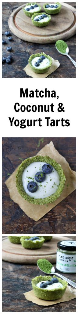 A tart filled with yogurt and a row of blueberries.