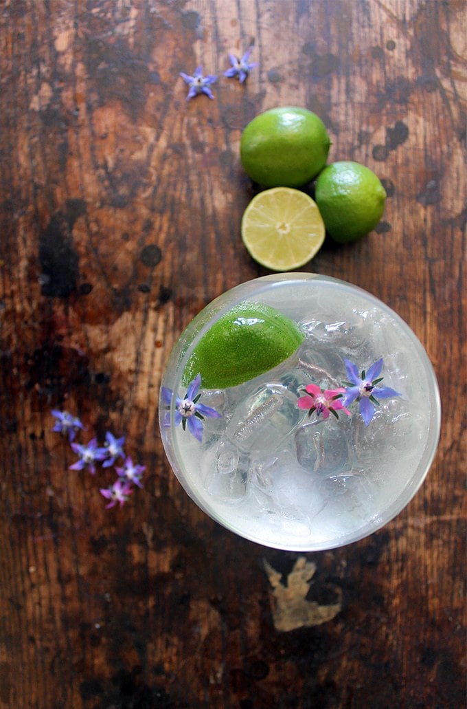 Overhead image of a glass of ice and gin rickey cocktail with a wedge of lime and edible flowers. 