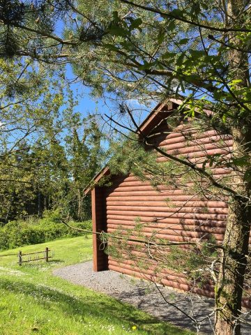 Bluestone Wales Review - Outside of a log cabin in the beautiful Pembrokeshire forest on a sunny day.