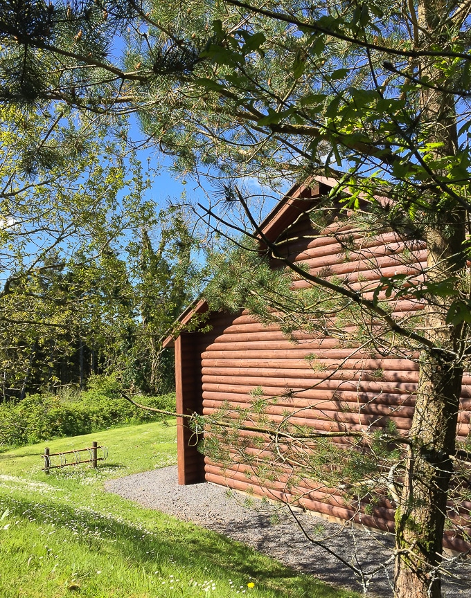 Bluestone Wales Review - Outside of a log cabin in the beautiful Pembrokeshire forest on a sunny day. 
