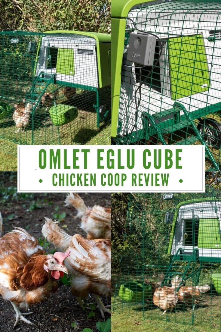 Omlet Eglu Cube Chicken Coop Review Veggie Desserts