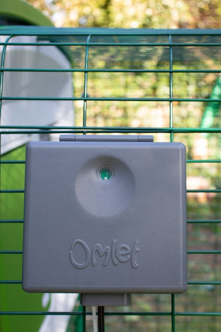 Omlet Automatic Door Review Veggie Desserts