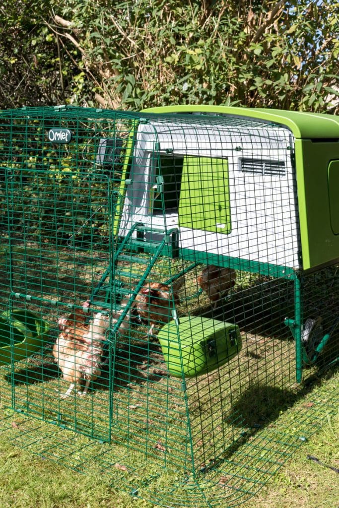 Omlet Eglu Cube review. MK2 chicken coop and 2m run.