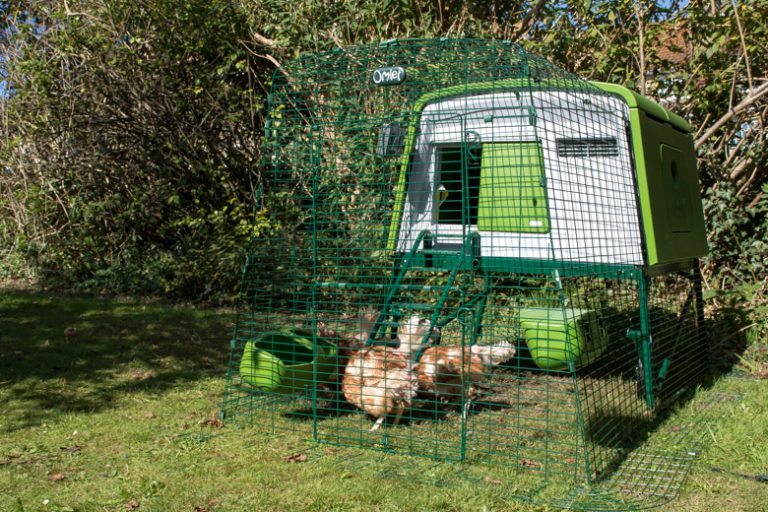 Omlet Eglu Cube Chicken Coop Review Veggie Desserts