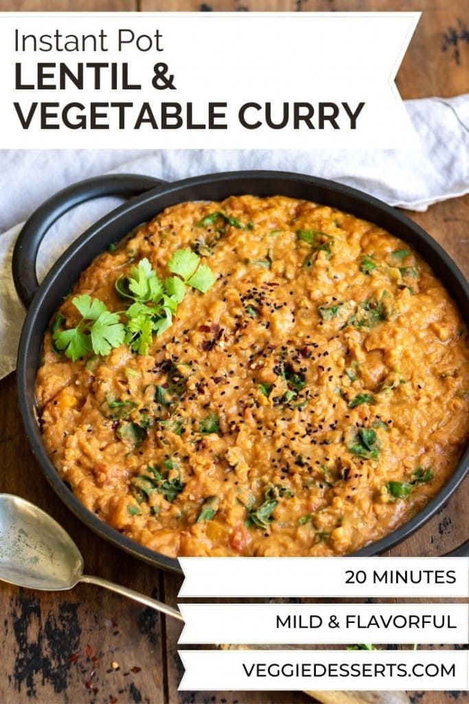 Dish of curry with text: Instant Pot Lentil and Vegetable Curry