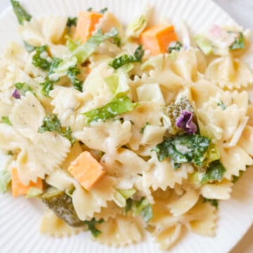 Plate of pasta salad.