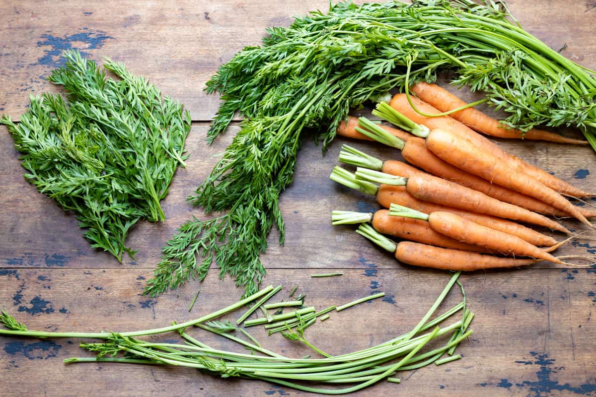 Carrot tops being cut from the stems.