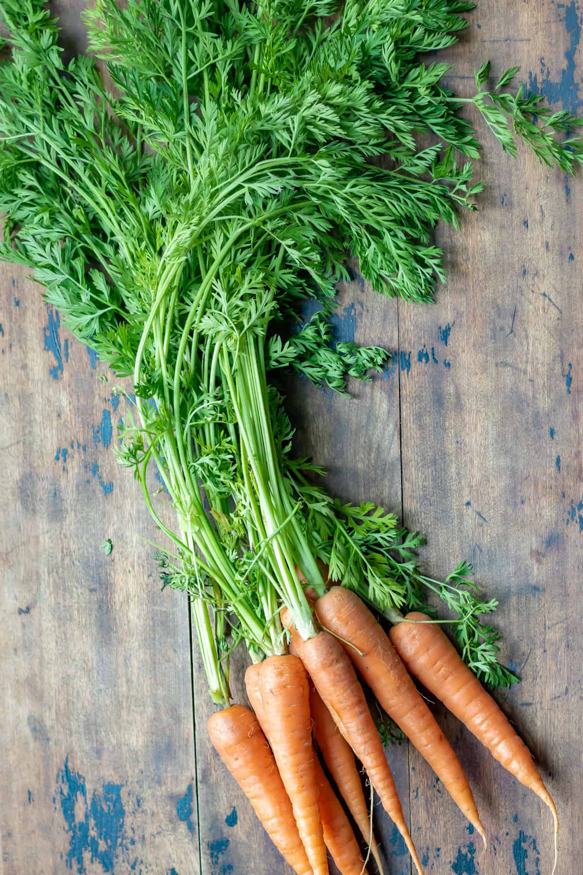 Bunch of carrots on a table.