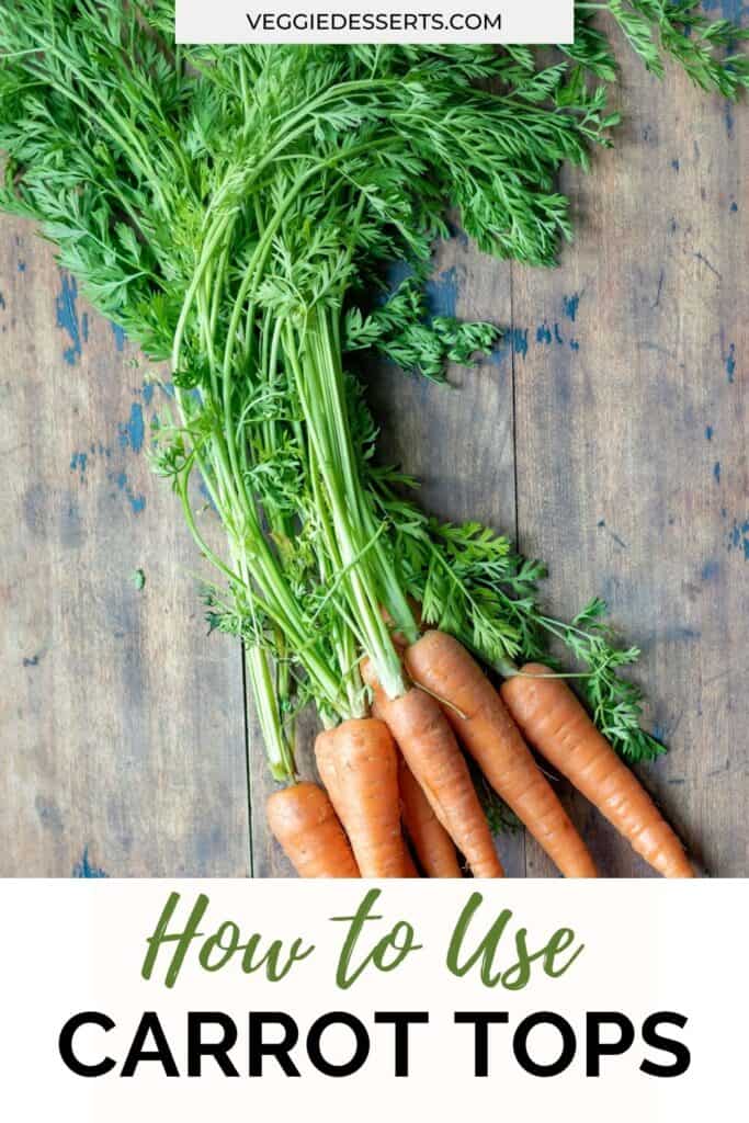 Carrots on a table, with text: How to use carrot tops.