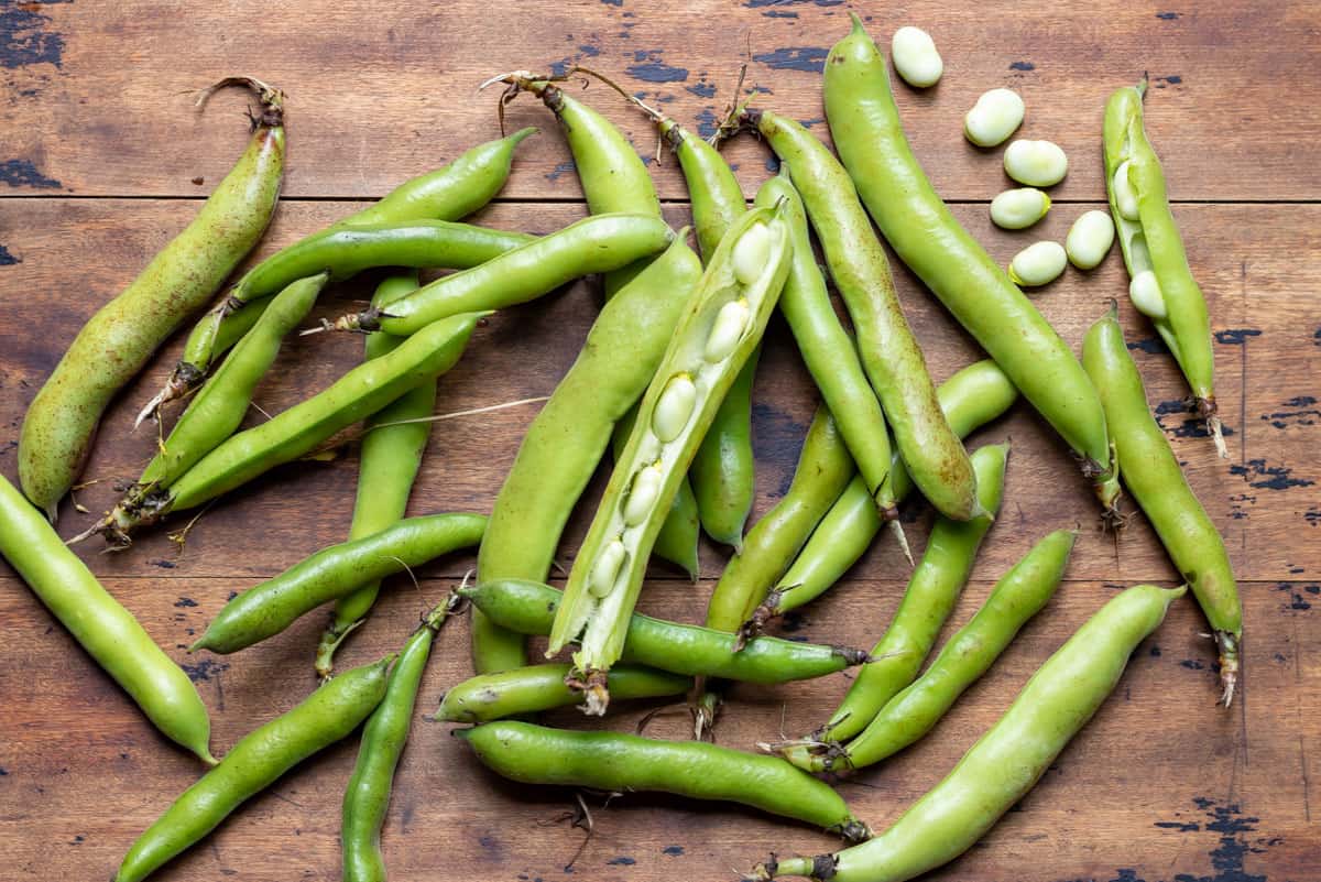 Wooden table with broad beans in their pods.