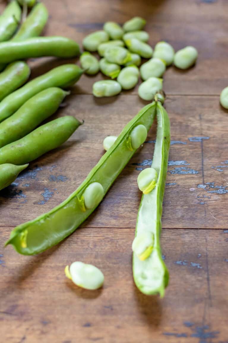 Broad Beans Prep, Cooking + Recipes Veggie Desserts