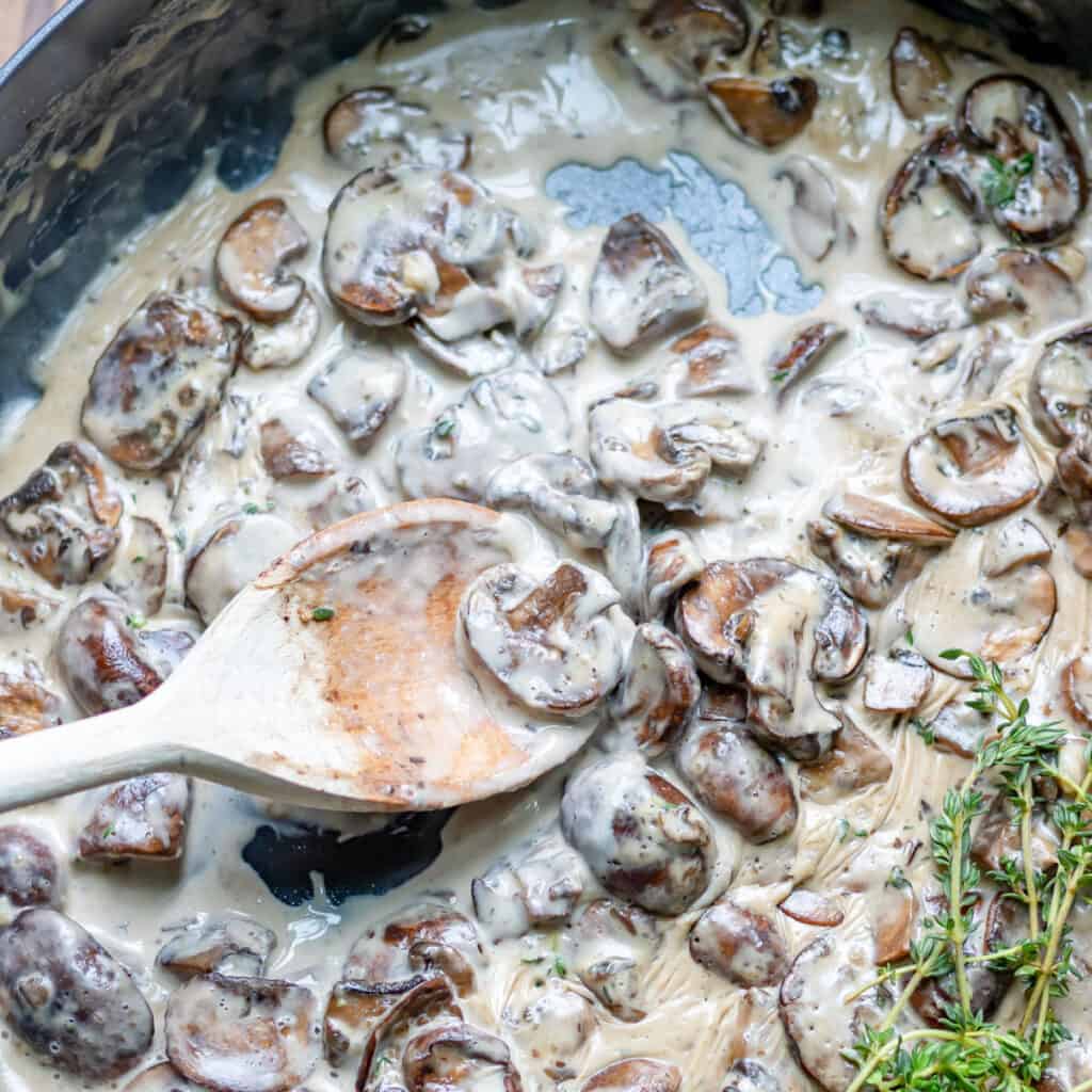 Easy Creamy Mushroom Sauce - Veggie Desserts