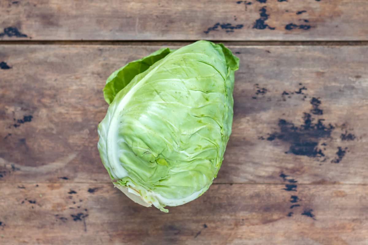 Pointed cabbage on a wooden table.