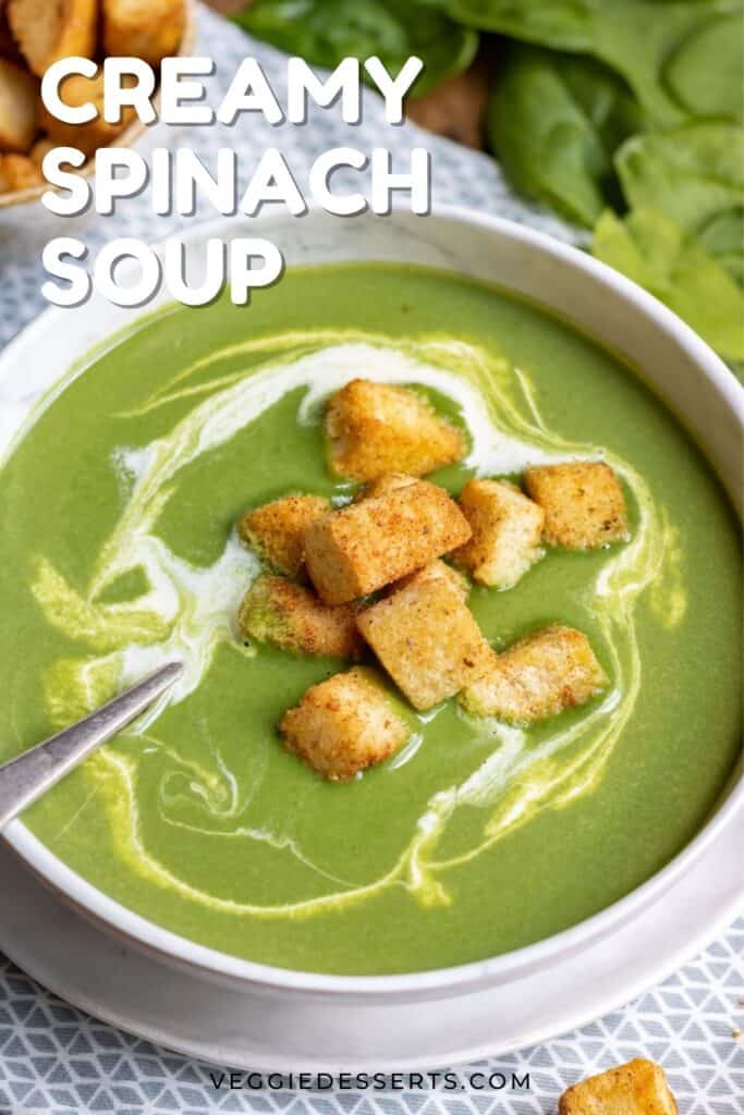Close up of a bowl of soup with text: Creamy Spinach Soup.