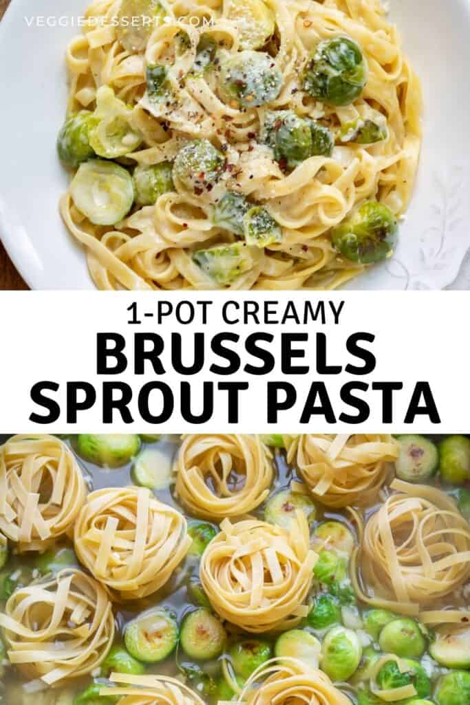 Pictures of pasta, with text: 1 pot creamy brussels sprout pasta.