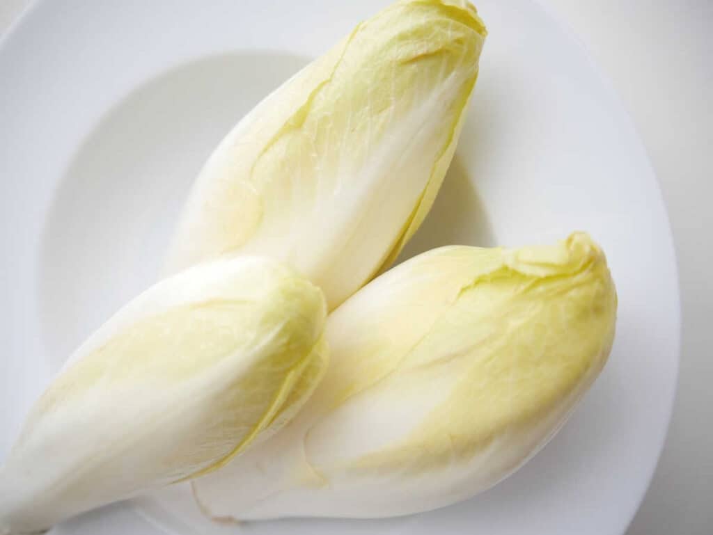 Chicory on a plate.