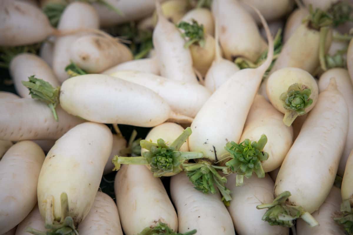 A pile of daikon radish (mooli).