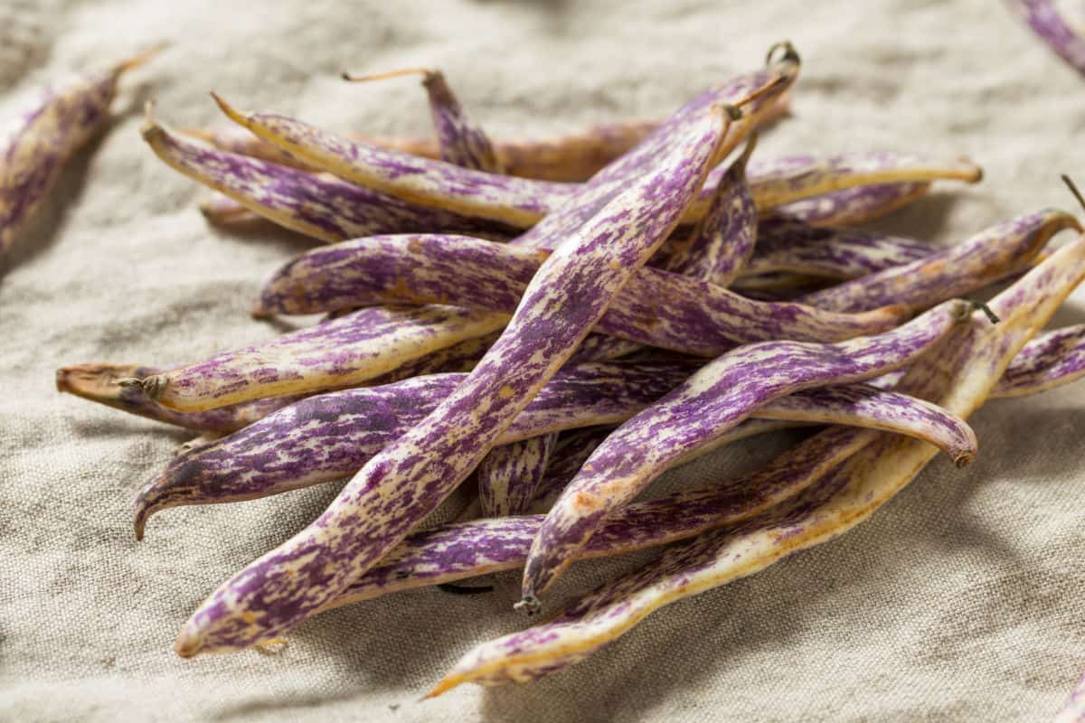 A pile of dragon tongue beans.