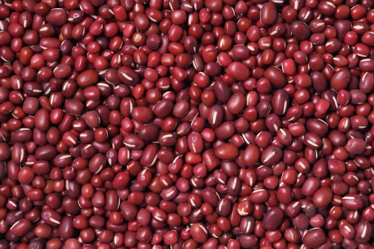 A pile of adzuki beans.