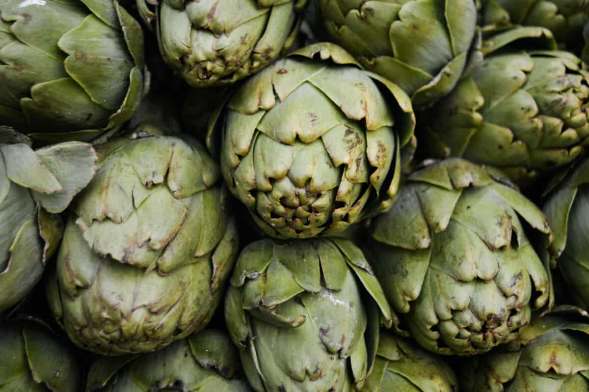 A pile of artichokes.