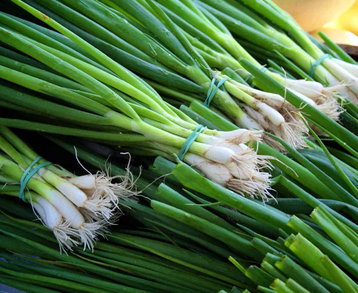 A pile of green onions (scallions).