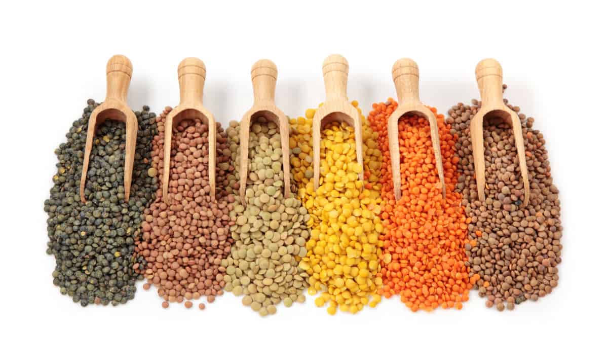 Scoops of lentils.