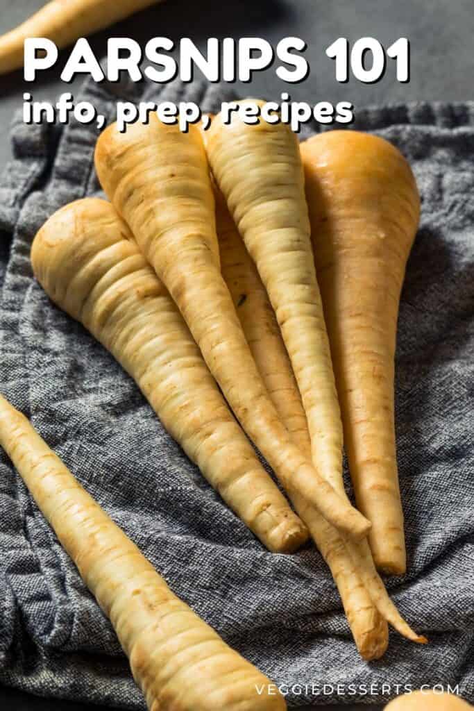 Pile of parsnips and text: Parsnip 101.