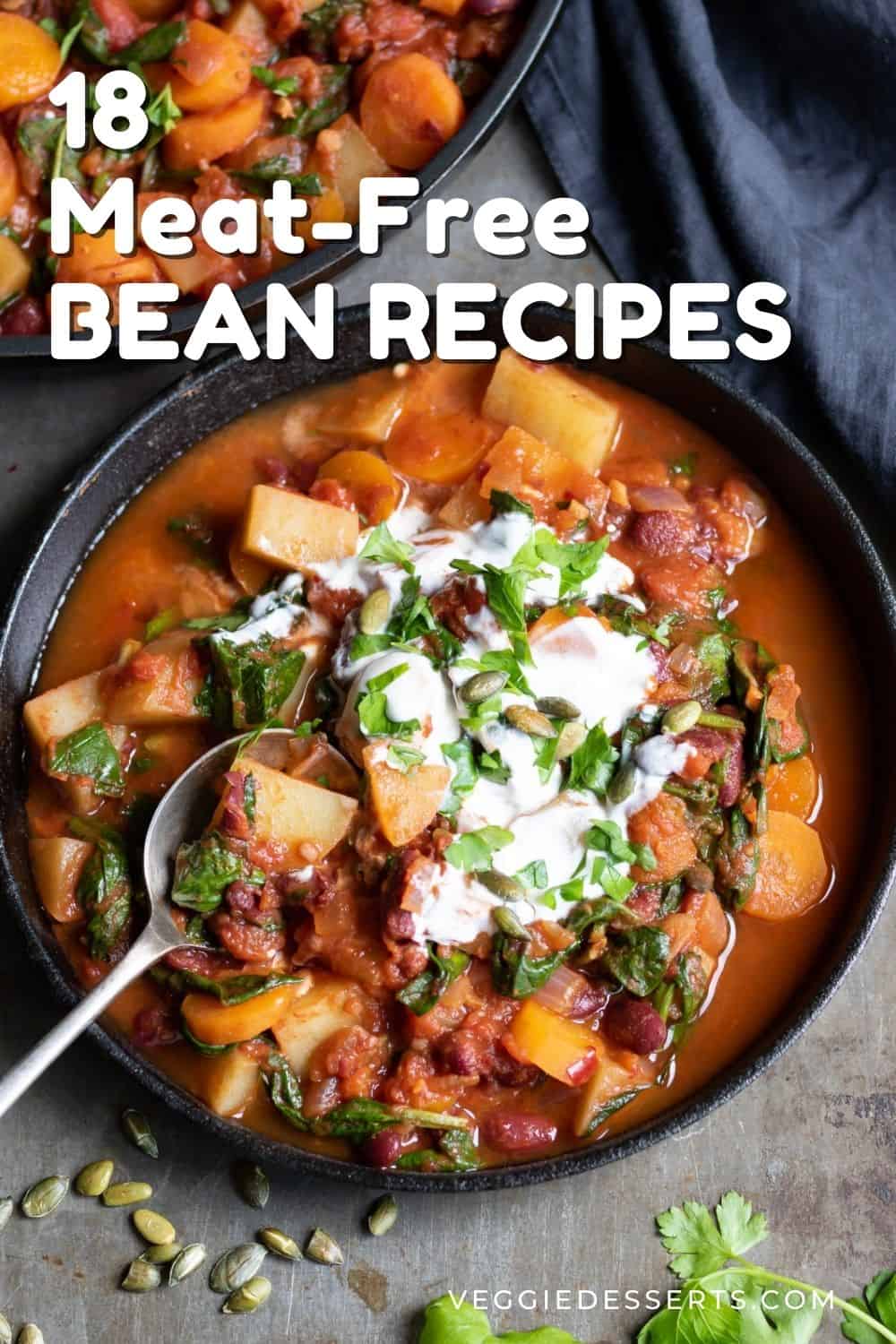 Spoon in a serving dish of stew, with text: 18 Meat Free Bean Recipes.