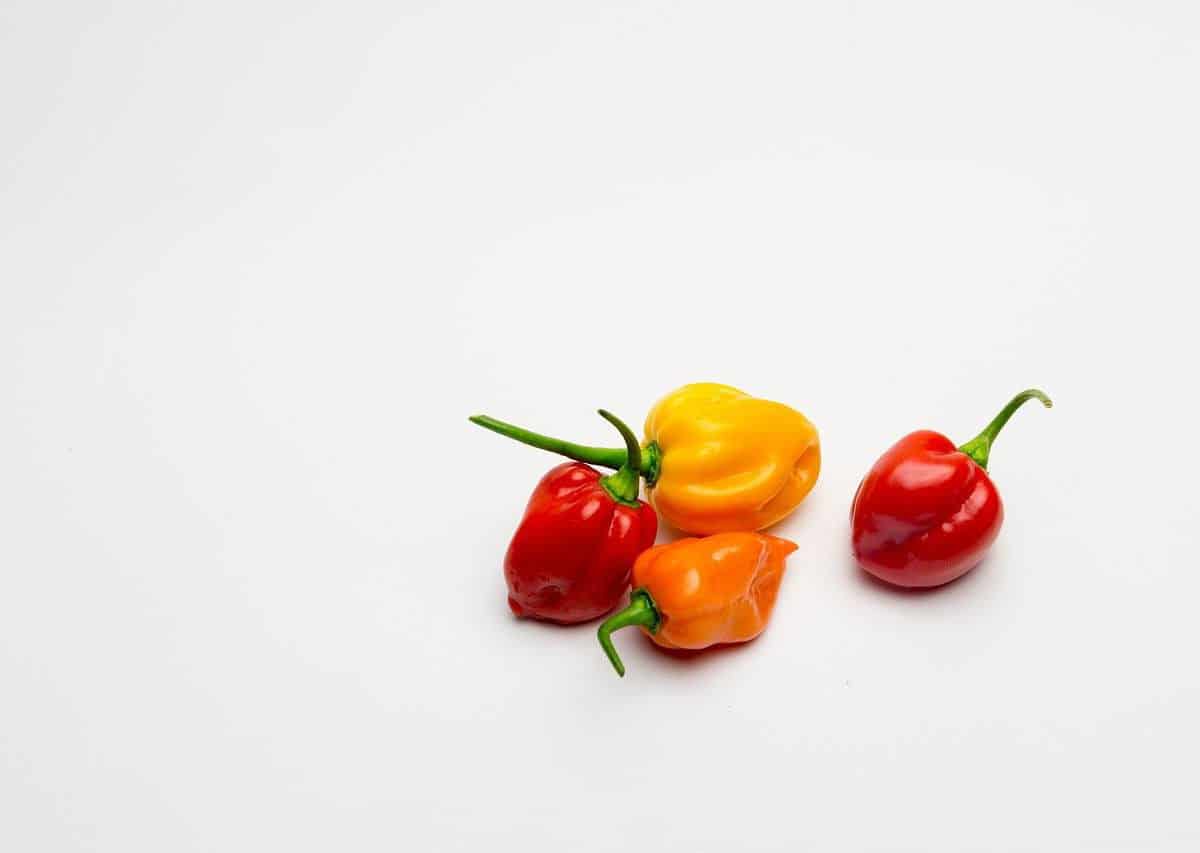 A pile of habanero peppers.