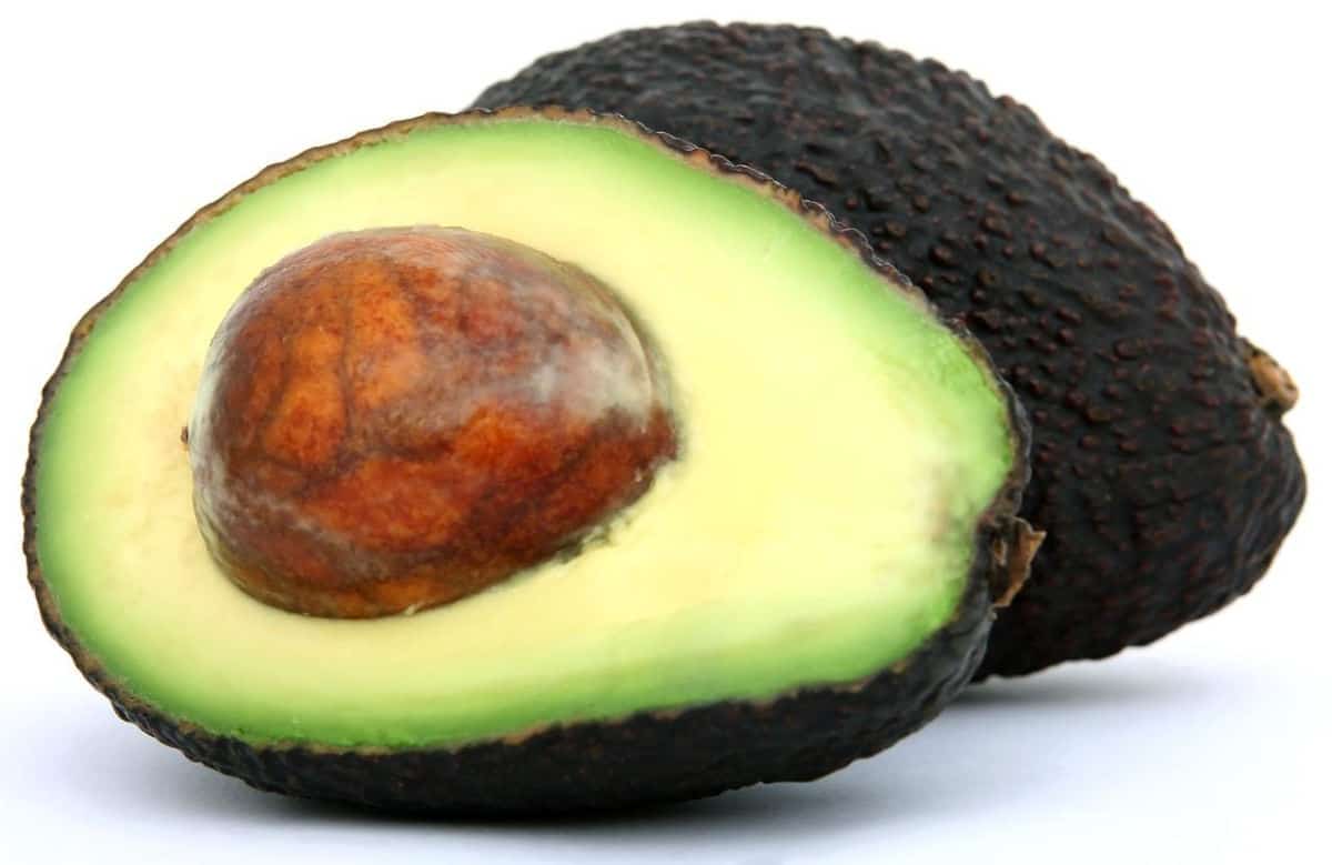 A cut open avocado.