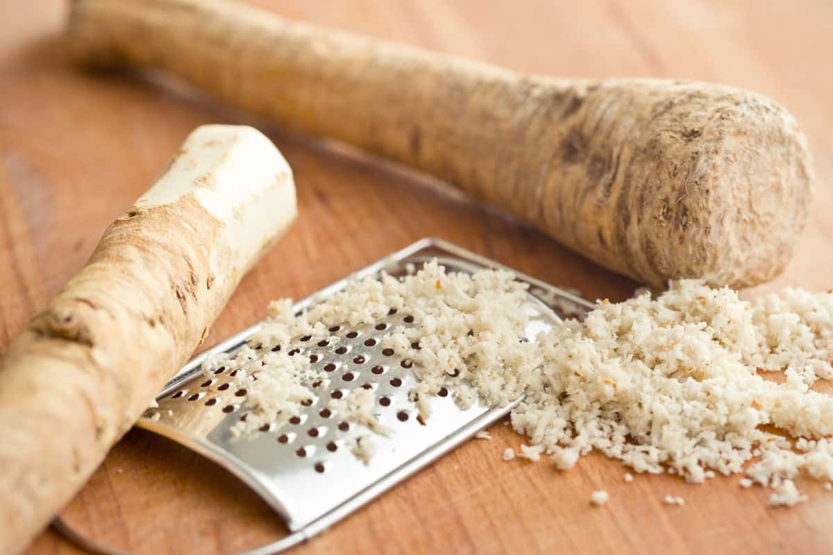 Horseradish root being grated.