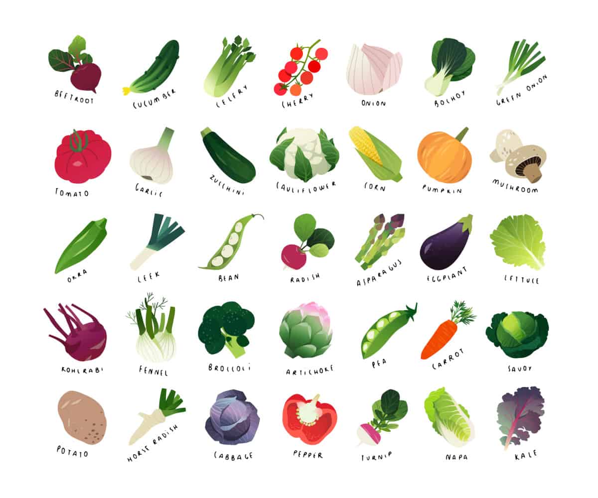 Illustrations of vegetable names.