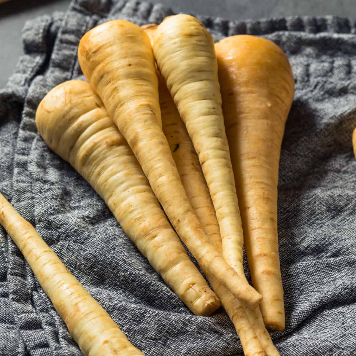 A pile of parsnips.
