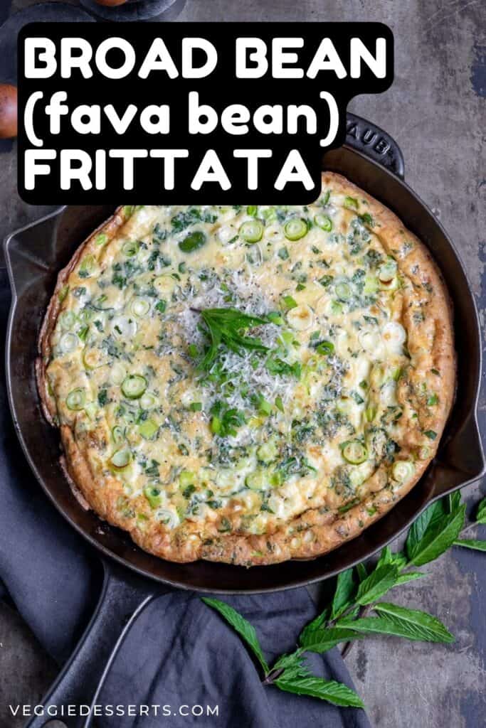 A pan of frittata with text: Broad Bean (fava bean) Frittata.