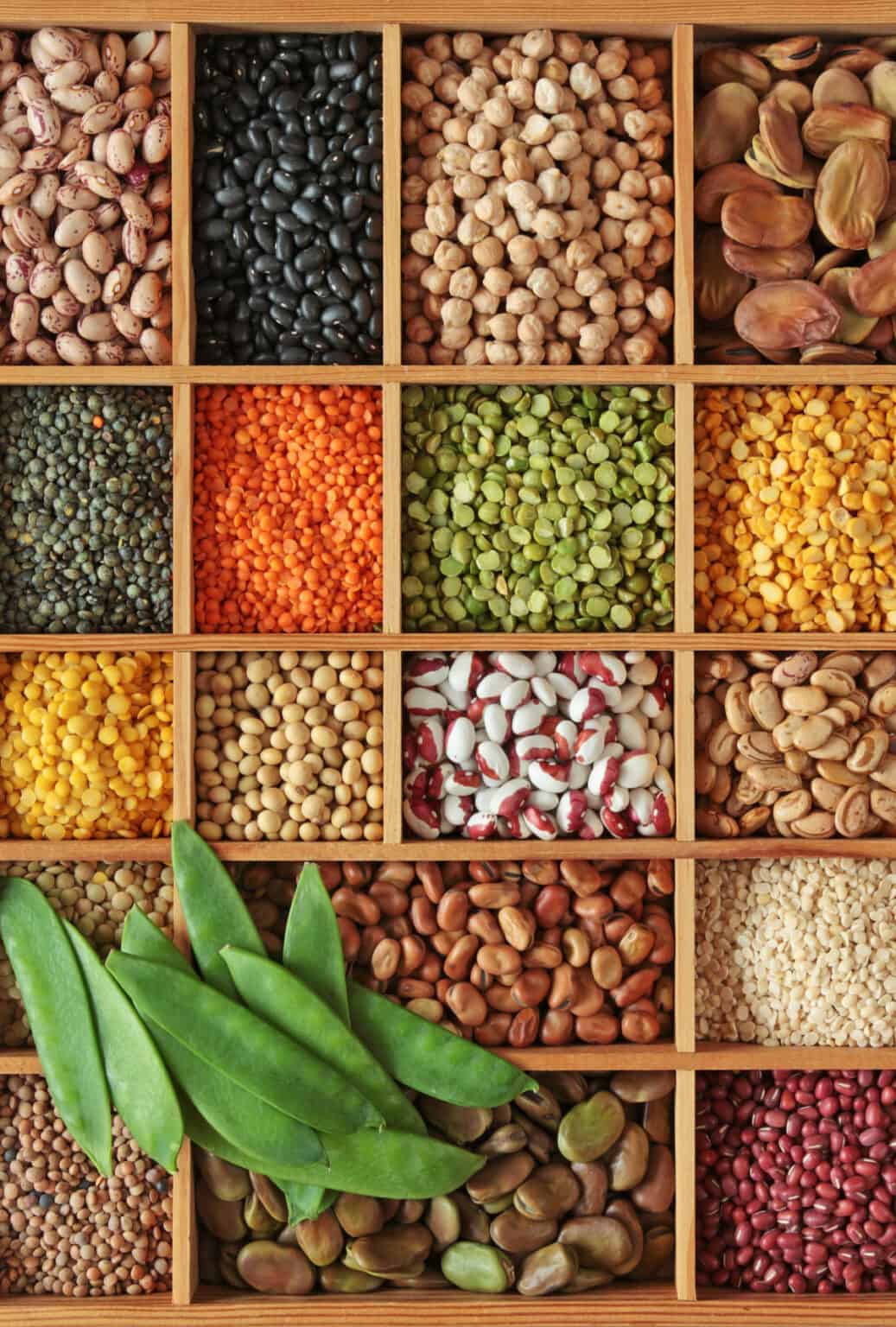 Vegetables That Start With L Veggie Desserts