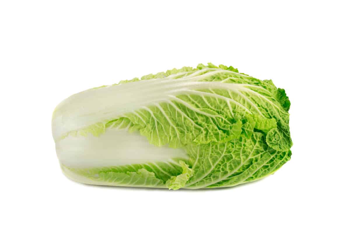 A napa cabbage.