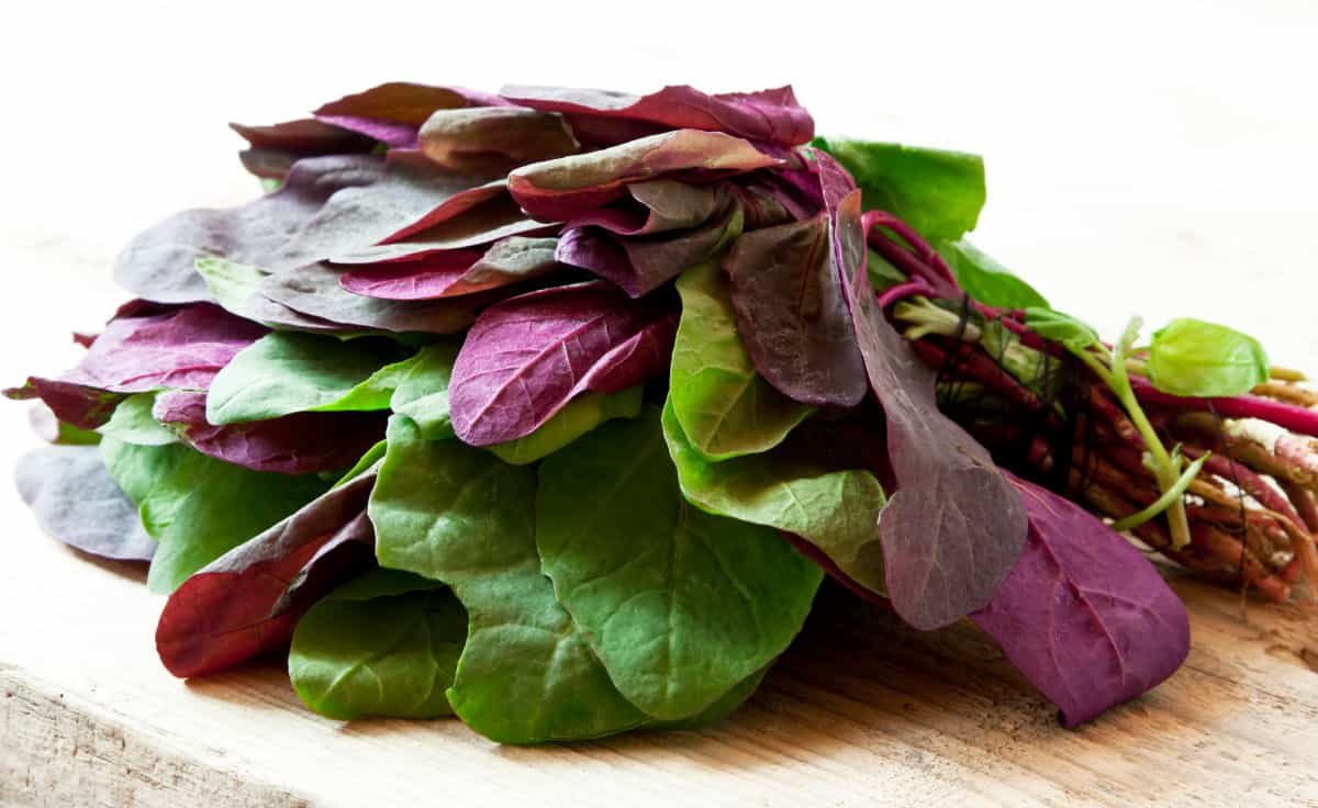A pile of orach leaves on a table.