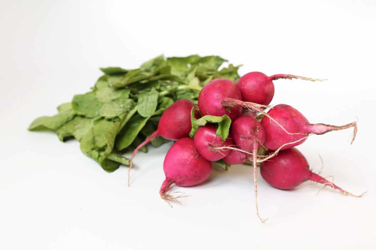 Bunch of radishes.
