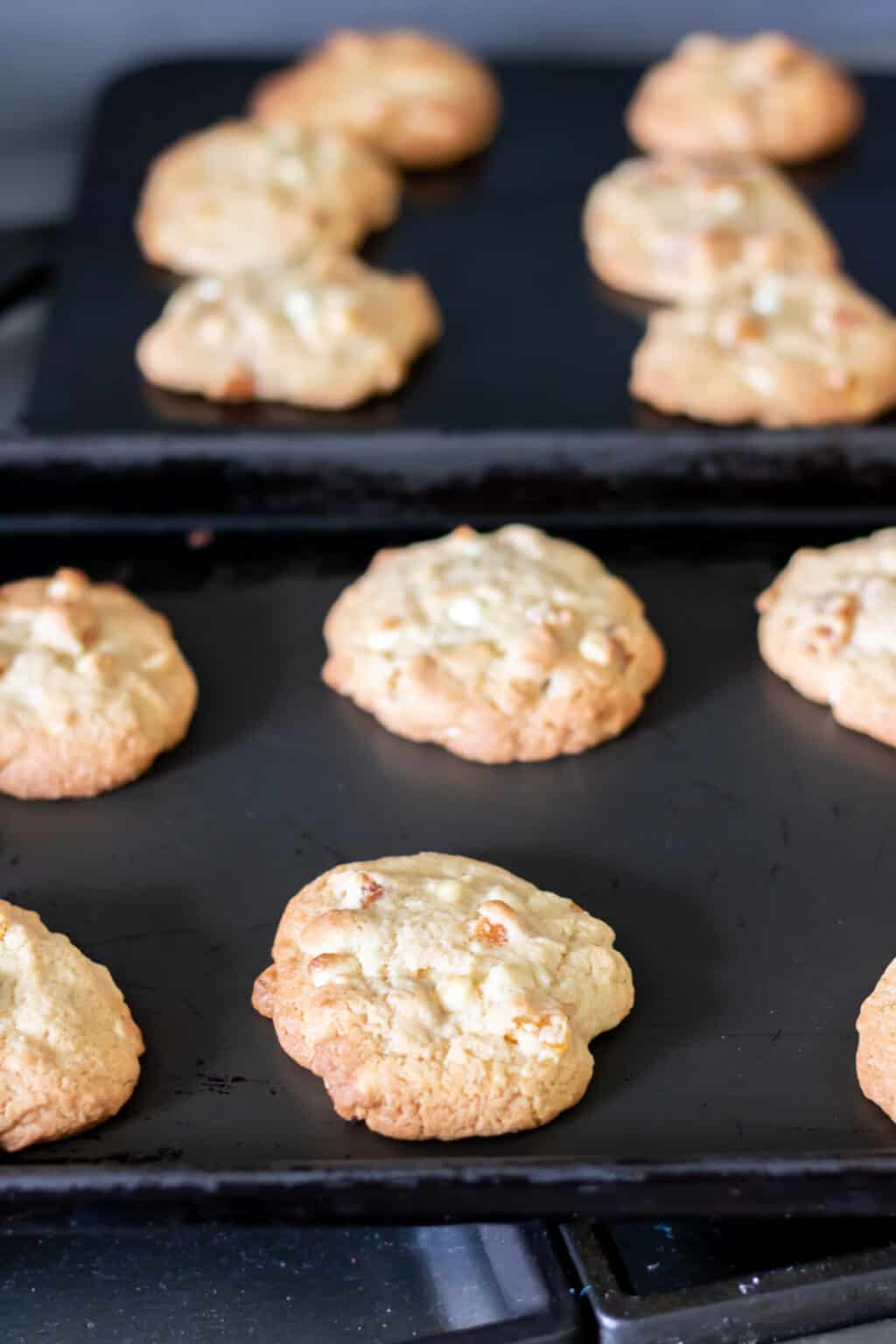 Apricot Cookies with White Chocolate Veggie Desserts