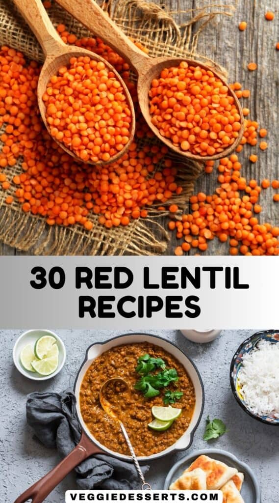 Spoons of dried red lentils, bowl of dal, and text: 30 Red Lentil Recipes.