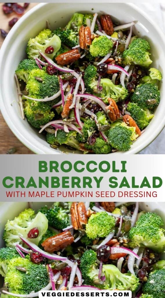 Bowls of salad, with text: Broccoli Cranberry Salad with maple pumpkin seed dressing.