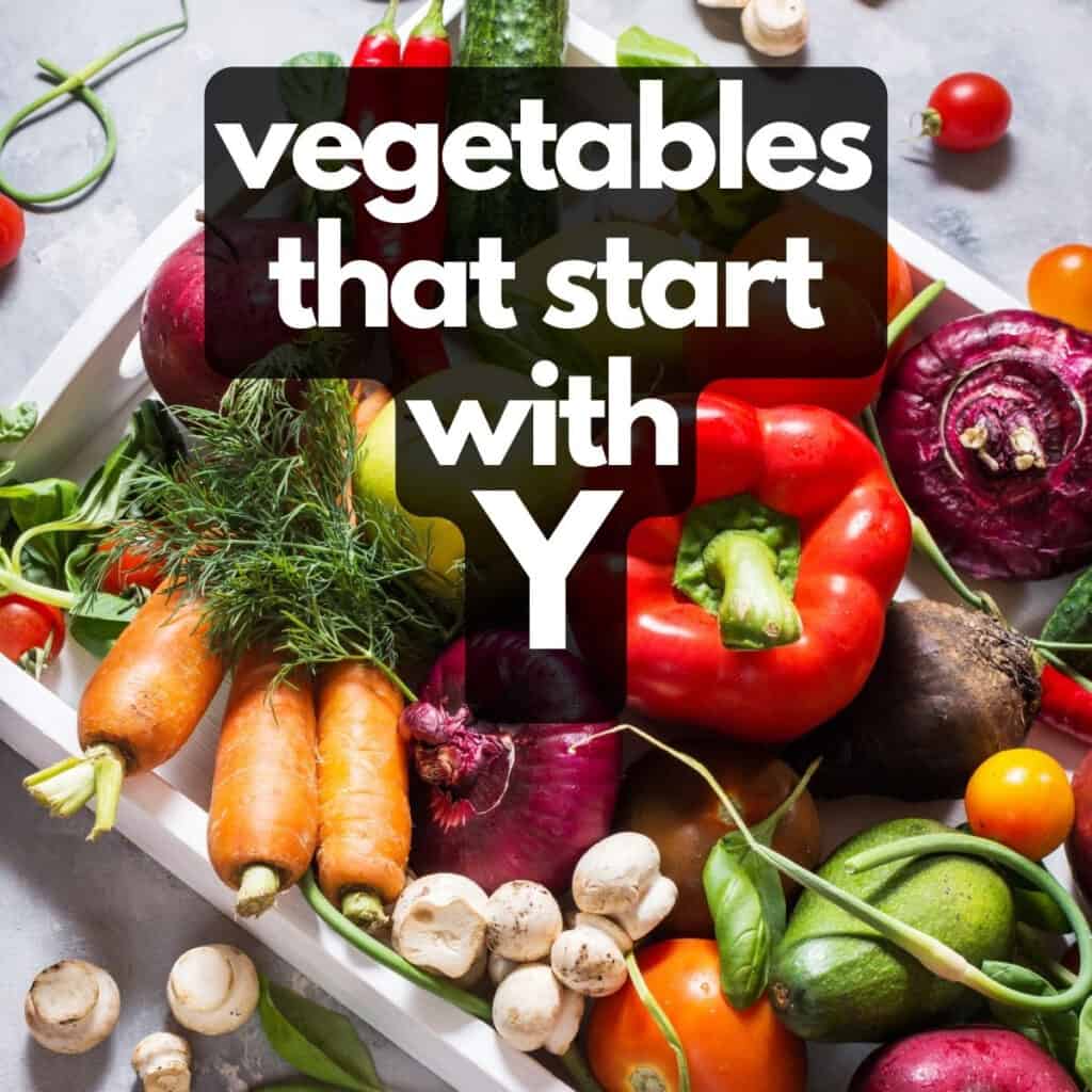 Tray of vegetables, with text: Vegetables that start with y.