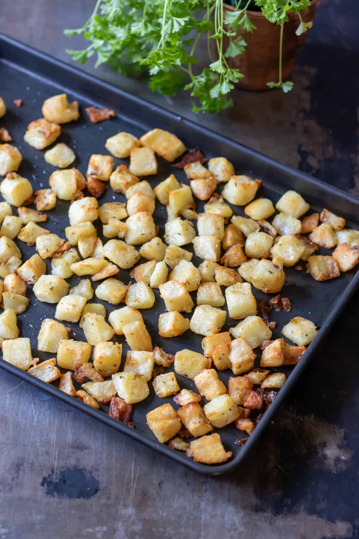 Roasted parmentier potatoes on a baking sheet.
