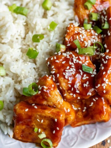 A plate of rice and Korean tofu in a thick sticky sauce, with sesame seeds and sliced scallions.