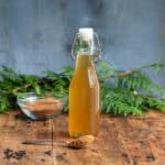 A bottle of mulled wine simple syrup with a teaspoon of ground cinnamon and in the background is some green plants.