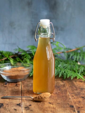 A bottle of mulled wine simple syrup with a teaspoon of ground cinnamon and in the background is some green plants.