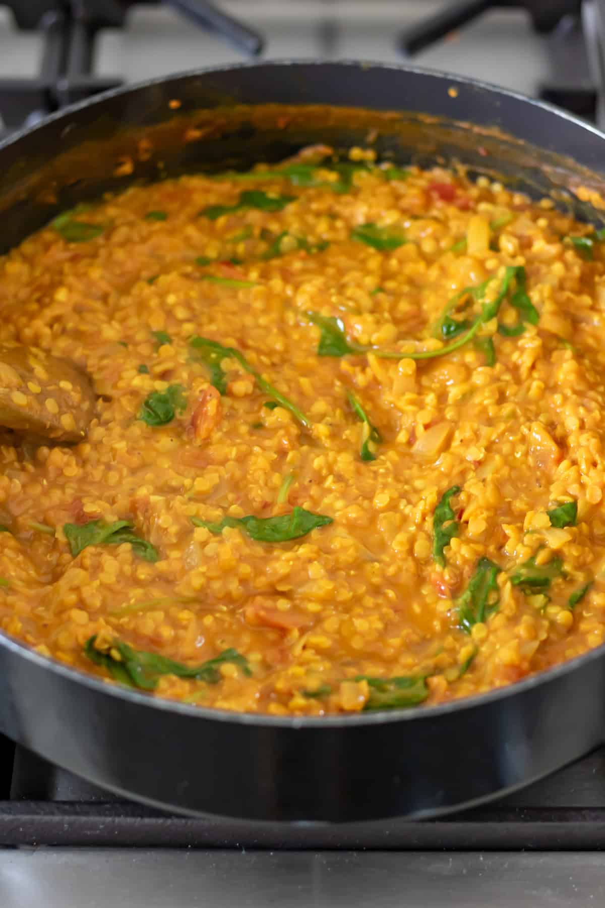 Spinach stirred into the red lentil dal and wilted.