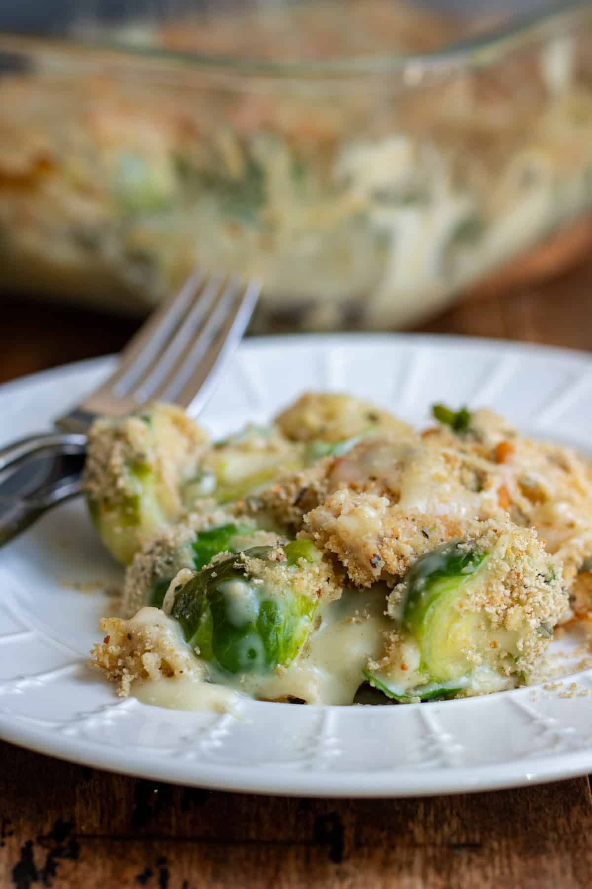 Close up of a plate of brussels sprouts au gratin.