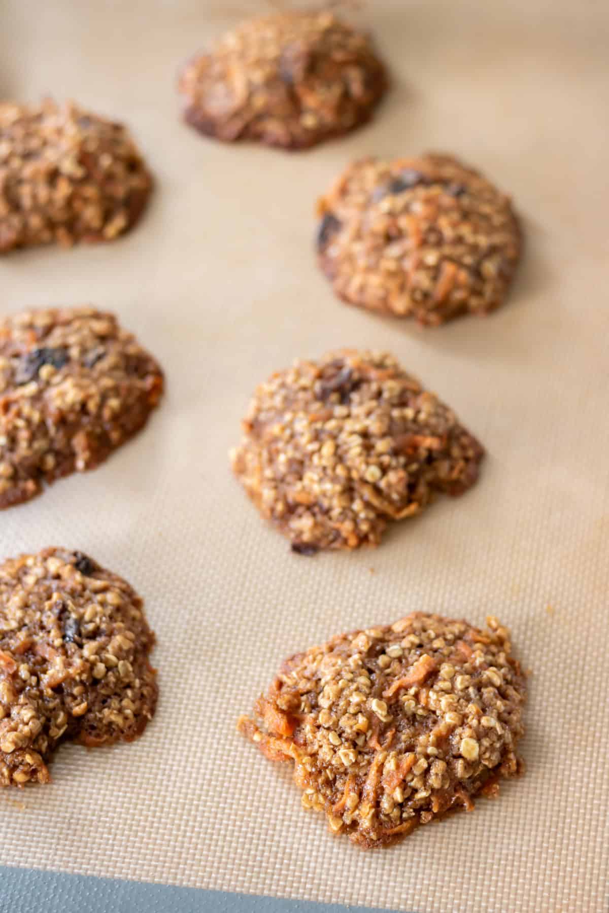 Baked cookies on cookie sheet.